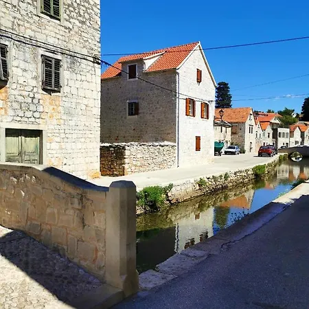 Losotovi *
