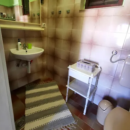Apartment Losotovi *