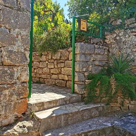 Losotovi Vrboska