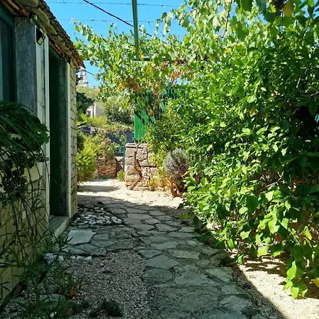 Losotovi